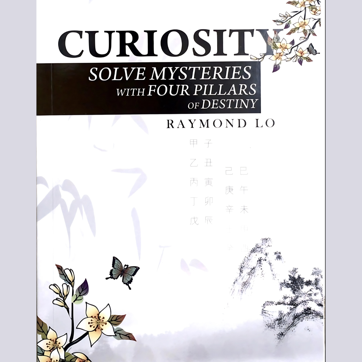 Curiosity - Solve Mysteries with Four Pillars - Raymond Lo
